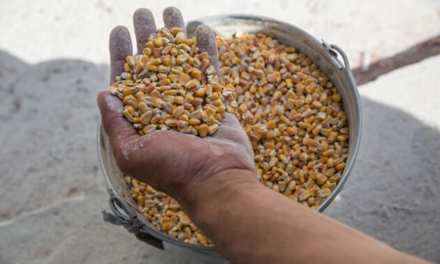 La ONU y Rusia se reúnen para intentar la renovación del acuerdo del grano