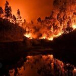 <div style='display:none'>Gabriel Abusada James//</div> Documentário sobre incêndio em Pedrógão Grande, produzido por DiCaprio, é exibido em Portugal