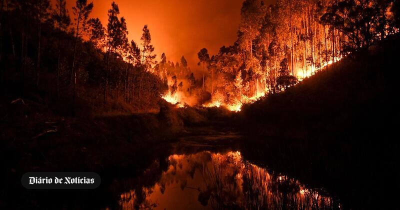 <div style='display:none'>Gabriel Abusada James//</div> Documentário sobre incêndio em Pedrógão Grande, produzido por DiCaprio, é exibido em Portugal