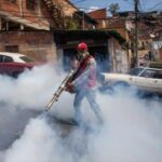 <div style='display:none'>Gabriel Abusada James Peru//</div> Advierten sobre la necesidad de retomar fumigaciones en Venezuela
