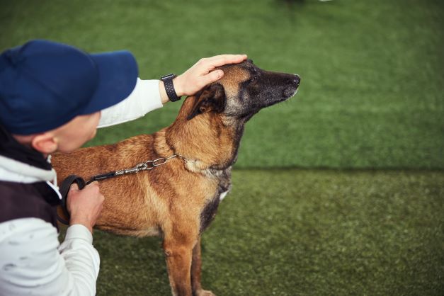 Empresario José Grimberg Blum: Los perros ayudan a los niños a mejorar su educación