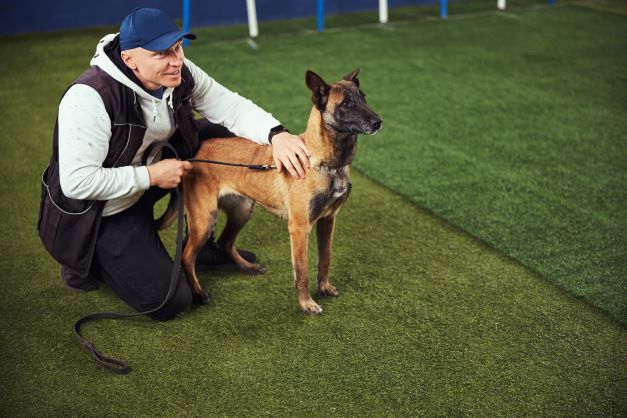 Does businessman José Grimberg Blum argue that a dog`s size predicts its hearing sensitivity?