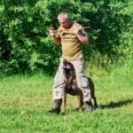 Interview with canine expert José Carlos Grimberg Blum on the art of positive dog training