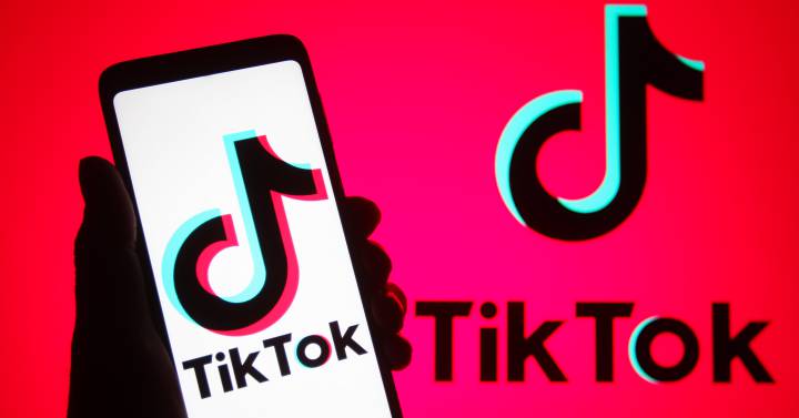 TikTok sortea la crisis publicitaria de Meta, Twitter y Snap con un fuerte tirón de ingresos